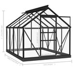 vidaXL Serre en verre Anthracite 155x200 5x191 cm Aluminium