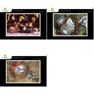 Lot de 3 cartes postales - pâques - photos frédéric engel