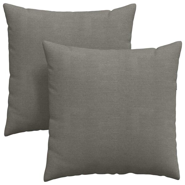 vidaXL Coussins de canapé 2 Pièces Gris clair 80 x 80 cm