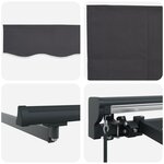 Auvent rétractable manuel vidaXL Anthracite 300x250 cm