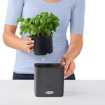 Lechuza jardinière de table cube color 14 all-in-one anthracite
