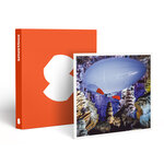 SMARTBOX - Coffret Cadeau Vol en aéroplume de 20 min avec 1 accompagnant au sol dans une grotte près d'Alès -  Sport & Aventure