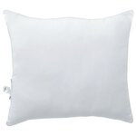 vidaXL Oreillers 2 Pièces Blanc 80 x 80 cm