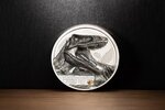 Pièce de monnaie en Argent 5 Dollars g 31.1 (1 oz) Millésime 2026 CARCHARODONTOSAURUS