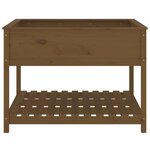 vidaXL Jardinière et étagère Marron miel 111 5x111 5x81 cm Bois de pin
