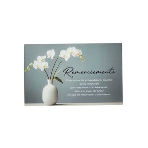 Carte De Voeux - Condoléances - 5 Cartes Remerciements Deuil