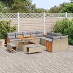 vidaXL Ensemble de canapé de jardin 13 Pièces beige et gris clair