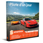 SMARTBOX - Coffret Cadeau Pilote d'un jour -  Sport & Aventure