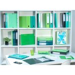 Boite Transfert Dos 90mm Iderama - Vert Anis - X 5 - Exacompta