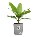Pot de fleur Carré Greensense Aqua Care Ø 29 5 x hauteur 30 2 cm - 15 L - Vert Jungle