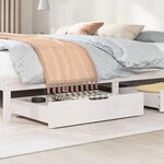vidaXL Tiroirs sous le lit 2 Pièces blanc 85x55x17 cm bois de pin massif