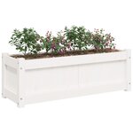 vidaXL Jardinières 2 Pièces blanc bois de pin massif