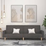 vidaXL Canapé-lit à 2 places gris foncé tissu