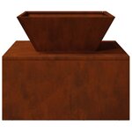 vidaXL Braise Rouillé 50 x 50 x 40 cm Acier patiné