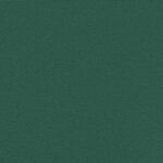 vidaXL Auvent latéral rétractable vert foncé 100x500 cm