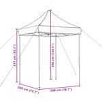 vidaXL Tente de fête 200 x 200 x 306 cm Noir Tissu Oxford