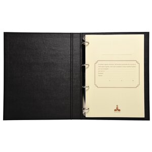 Reliure standard Conseil d'Administration LE DAUPHIN