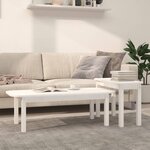 vidaXL Ensemble de tables basses 2 Pièces Blanc Bois massif de pin