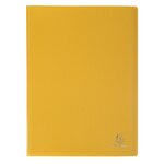 Protège-documents A4 60 pochettes 120 Vues Coloris aléatoires EXACOMPTA