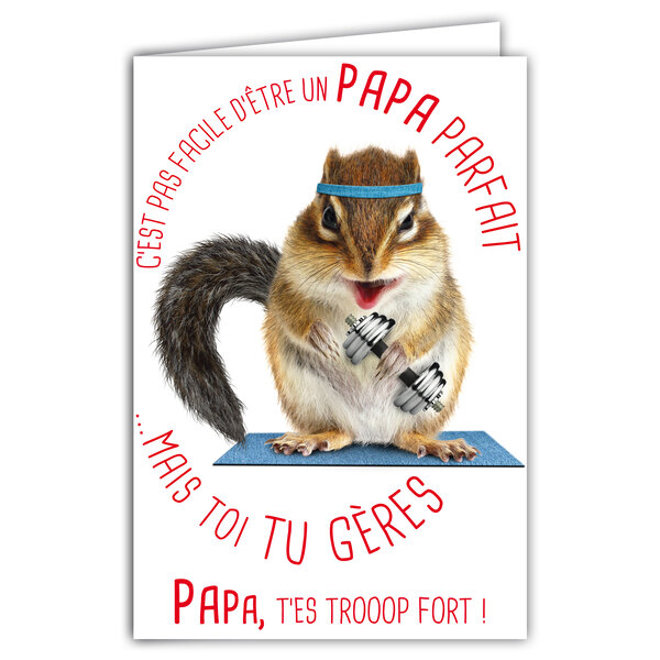 Carte pour un PAPA Parfait Trop Fort Message Humoristique avec Enveloppe Illustrée format 17 5x12cm Animal Rongeur Écureuil Chipmunk Tamia Drôle Amusant Rigolo Création Fabrication française 69-6215