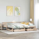 vidaXL Lit de jour avec tiroirs sans matelas 90x200 cm bois massif