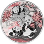 Pièce de monnaie en Argent 10 Yuan g 30 Millésime 2025 PANDA