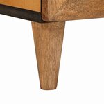 vidaXL Meuble TV Marron clair 105 x 33 x 46 cm bois de manguier massif