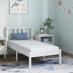 vidaXL Matelas avec Couche de Coco Blanc 120 x 60 cm Mousse PU