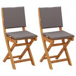 vidaXL Chaises de bistrot d'extérieur 2 pc Gris foncé