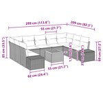 vidaXL Ensemble de canapé de jardin 10 pièces avec coussins en poly rotin noir et acacia