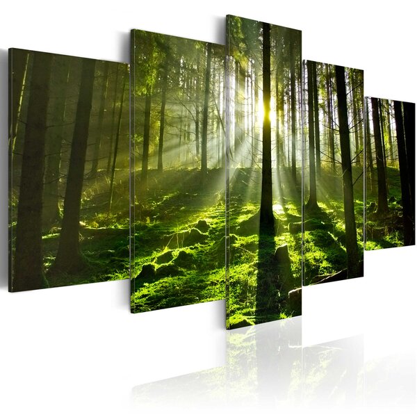 Tableau - peace of mind l x h en cm 200x100