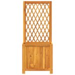 vidaXL Jardinière avec treillis 55x29 5x132 cm bois massif d'acacia