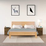 vidaXL Tables de chevet 2Pièces Marron miel 50x35x61 5 cm Bois pin massif