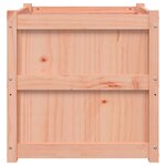 vidaXL Jardinières 2 Pièces bois massif douglas