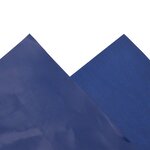vidaXL Bâche bleu 5x5 m 650 g/m²
