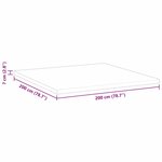 vidaXL Coussins de Matelas Blanc 200 x 200 cm