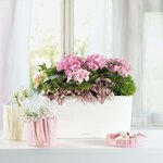 Lechuza jardinière de table delta 20 all-in-one blanc brillant 15560