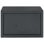 vidaXL Coffre-fort avec serrure à clé gris foncé 20x31x20 cm en acier