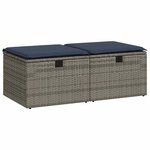 vidaXL Salon de jardin 2 Pièces avec coussins gris résine tressée acacia