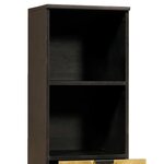 vidaXL Cabinet de salle de bain avec porte Noir et or 38 x 33 x 160 cm