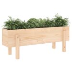 vidaXL Lit surélevé de jardin 101x30x38 cm bois de pin massif