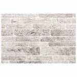 vidaXL Panneaux muraux 3D 10 Pièces gris clair 100x50 cm EPS