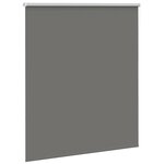 vidaXL Store enrouleur occultant largeur du tissu 136 6 cm polyester