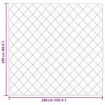 vidaXL Duvet d'hiver Gris clair 220 x 260 cm Microfibre