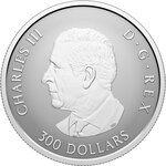 Pièce de monnaie en Platine 300 g 31.16 Millésime 2026 MAPLE LEAF FOREVER