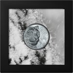 Pièce de monnaie en Argent 1000 Togrog g 62.2 (2 oz) Millésime 2024 Wild Mongolia SNOW LEOPARD (PRÉCOMMANDE)