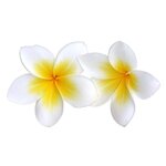Parfum pour savon 270 ml - Monoï