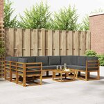 vidaXL Ensemble de canapés d'extérieur 10 pc Naturel et Anthracite