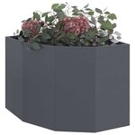 vidaXL Jardinière d'Angle Anthracite 60 x 60 x 50 cm Acier