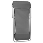 vidaXL Chaises plage pliantes lot de 2 textilène acier enduit poudre